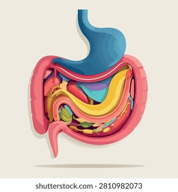 A detailed 3D render showing the human stomach intestines and internal digestive organs isolated on a light background