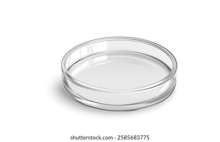 A detailed 3D vector illustration showcases a clear petri dish positioned centrally. It features smooth edges and a reflective surface, highlighting its translucent quality.