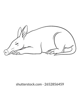 Detailed Aardvark Vector Line Drawing

