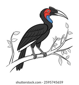Detailed Abyssinian Ground Hornbill Depiction. Concept of Bird Design.