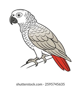 Detailed African Grey Parrot Depiction. Concept of Bird Design.