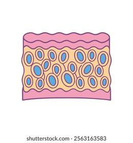 Detailed Anatomy of Columnar Cells Diagram