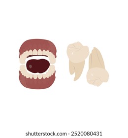 Anatomia Detalhada da Mandíbula com Dentes e Raízes