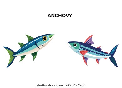 Detailed Anchovy Fish vector illustration. Perfect for culinary, marine, and environmental designs. High-quality vector for easy customization. Ideal for menus, packaging, education, and web graphics.