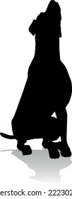 A detailed animal silhouette of a pet dog