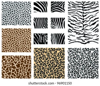 Detailed animal skin, vector