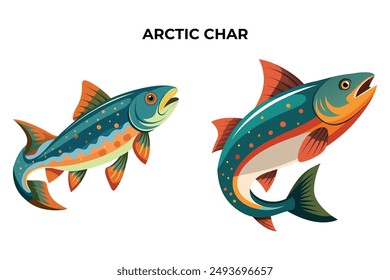 Detailed Arctic Char Fish vector illustration. Perfect for culinary, marine, and environmental designs. High-quality vector for easy customization. Ideal for menus, packaging, education, and web graph