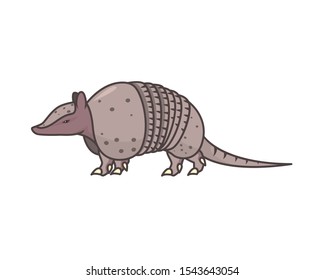 Detailed Armadillo the Mammal Illustration