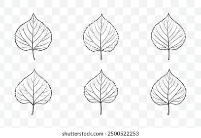 Detailed Aspen Tree Leaves Line Art Vector Set for Nature Inspired Designs and Illustrations