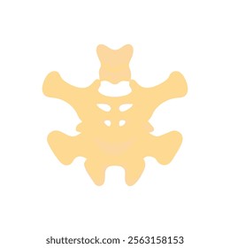 Detailed Atlas C1 Vertebra Anatomy