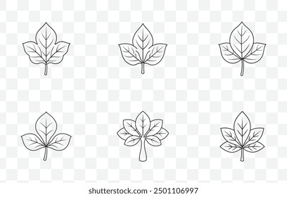 Detailed Baobab Tree Leaves Line Art Vector Set Featuring Various Leaf Designs and Botanical Elements