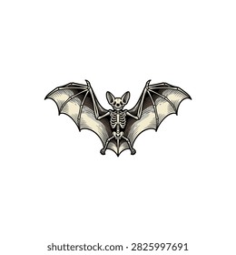 Detailed Bat Skeleton With