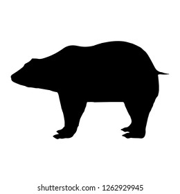 Detailed bear silhouette isolated on the white background