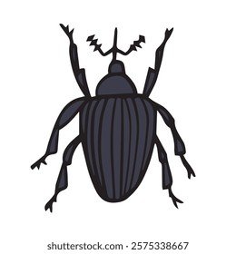 Detailed beetle weevil, strawberry pest illustration perfect for educational content. Ideal for biology textbooks, nature projects, insect collections, and art prints.