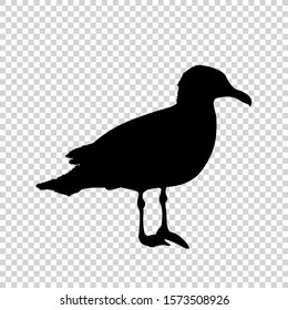 Detailed bird black silhouette isolated on transparent background. Bird icon. Flat style bird sign. Vector illustration
