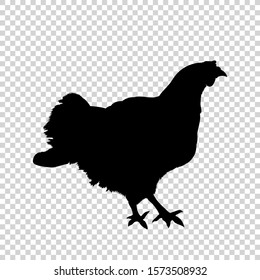 Detailed bird black silhouette isolated on transparent background. Bird icon. Flat style bird sign. Vector illustration