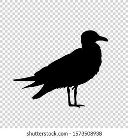 Detailed bird black silhouette isolated on transparent background. Bird icon. Flat style bird sign. Vector illustration