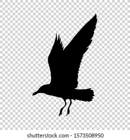 Detailed bird black silhouette isolated on transparent background. Bird icon. Flat style bird sign. Vector illustration