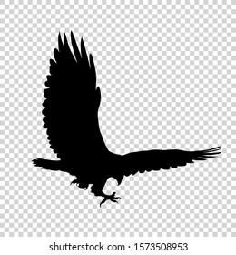 Detailed bird black silhouette isolated on transparent background. Bird icon. Flat style bird sign. Vector illustration