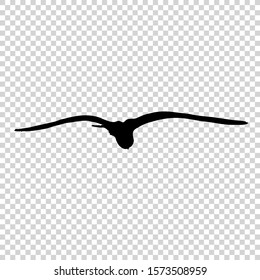 Detailed bird black silhouette isolated on transparent background. Bird icon. Flat style bird sign. Vector illustration