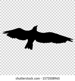 Detailed bird black silhouette isolated on transparent background. Bird icon. Flat style bird sign. Vector illustration