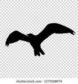 Detailed bird black silhouette isolated on transparent background. Bird icon. Flat style bird sign. Vector illustration