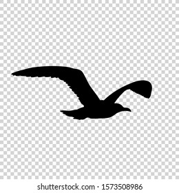 Detailed bird black silhouette isolated on transparent background. Bird icon. Flat style bird sign. Vector illustration