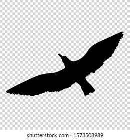 Detailed bird black silhouette isolated on transparent background. Bird icon. Flat style bird sign. Vector illustration
