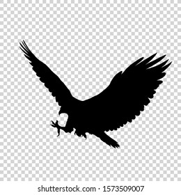 Detailed bird black silhouette isolated on transparent background. Bird icon. Flat style bird sign. Vector illustration