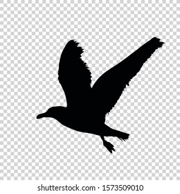 Detailed bird black silhouette isolated on transparent background. Bird icon. Flat style bird sign. Vector illustration