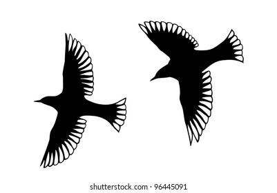 Detailed bird silhouettes. Looks lie angels with transparent wings.