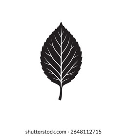 Detailed Black Leaf Silhouette Icon - Nature, Organic, and Botanical Vector - Perfect for Eco-Friendly, Autumn, and Plant-Related Designs