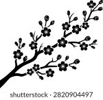 a detailed black silhouette of a flowering cherry blossom branch