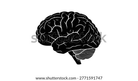 a detailed black silhouette of a human brain with intricate folds, set against a plain white background, ideal for medical or scientific illustrations. high-quality