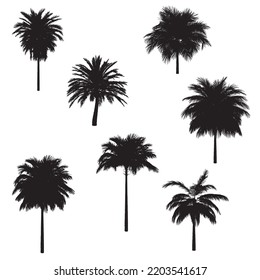 Detailed Black Silhouette Palm Tree Set Stock Vector (Royalty Free ...