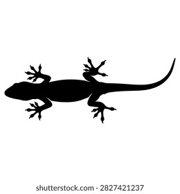 Detailed black silhouette of a small gecko lizard standing in a flat design style with sharp claws and a long tail displaying a simple minimalist artistic graphic on white background