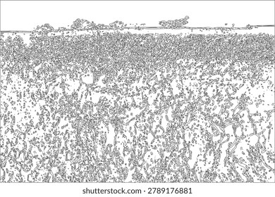 Detailed black and white cad line art drawing of a sprawling field with distant dense trees