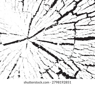 Detailed black and white close up view of cracked dry wood grain texture pattern design