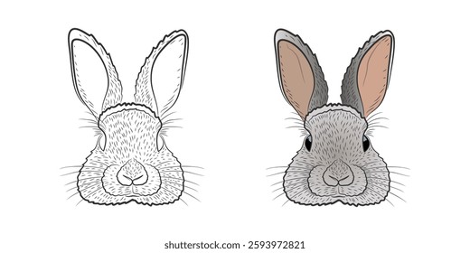  Detailed Black and White and Colored Rabbit Face Illustrations