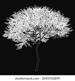 A detailed black and white contour drawing of a tree with intricate branches and delicate leaves, set against a solid black background. The minimalist yet striking design highlights the tree's.