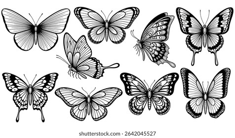 A Detailed Black and White Depiction of Various Butterfly Species in Different Poses