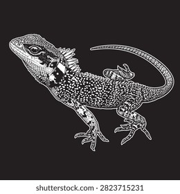 Detailed Black and White dragon Lizard Vector Illustration Isolated on White Background