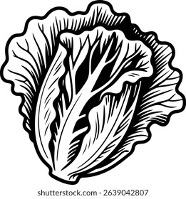 Detailed black and white drawing of a head of lettuce.