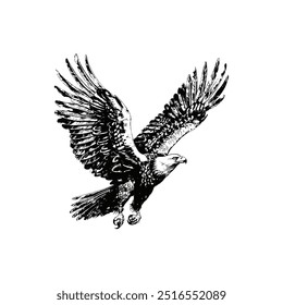 Detailed Black and White Eagle in Flight. Vector illustration design.