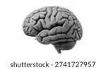Detailed Black and White Halftone Brain Illustration for Creative Design