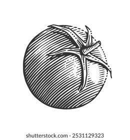 Uma ilustração detalhada em preto e branco desenhada à mão de um tomate em estilo de gravação. Perfeito para arte culinária, receitas, embalagem de alimentos e desenhos botânicos.