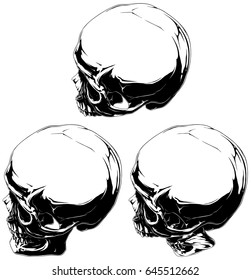 Detailed black and white human skull tattoo vector set