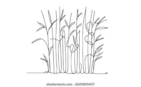 Detailed black and white illustration of bamboo stalks and leaves.