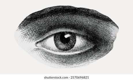 Detailed black and white illustration of a human eye. The eye drawing features intricate shading and texture, highlighting the eye's realistic appearance. Vintage illustration isolated, vector.