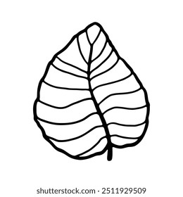 A detailed black and white illustration of a large leaf with prominent vein patterns.